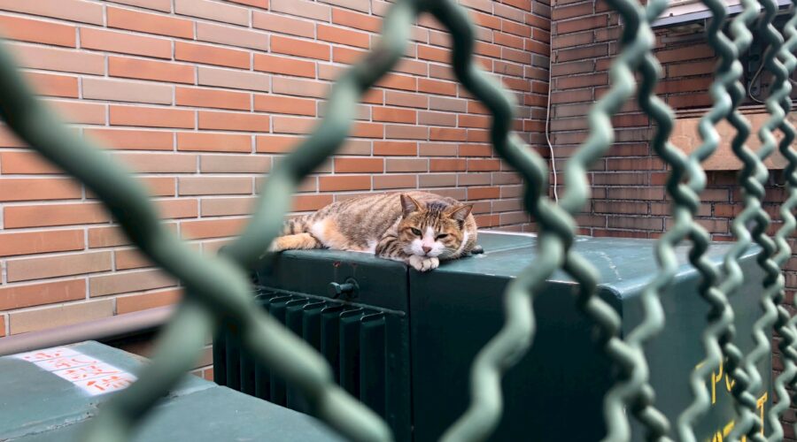 你想怎麼死？高中時的生命教育課